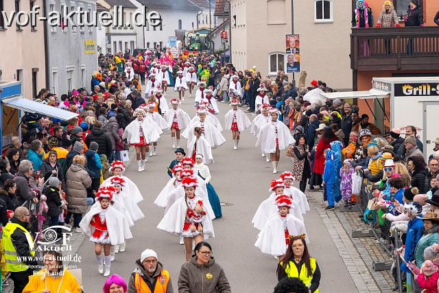 Foto Laudi_Pleintinger_Faschingszug-206064.jpg